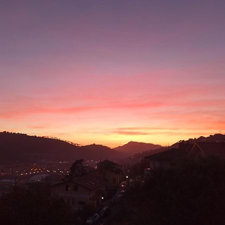 Il Glicine Cozy Appartamnent, Near Sestri Levante Between Cinque Terre E Portofino 카사르자리구레 외부 사진