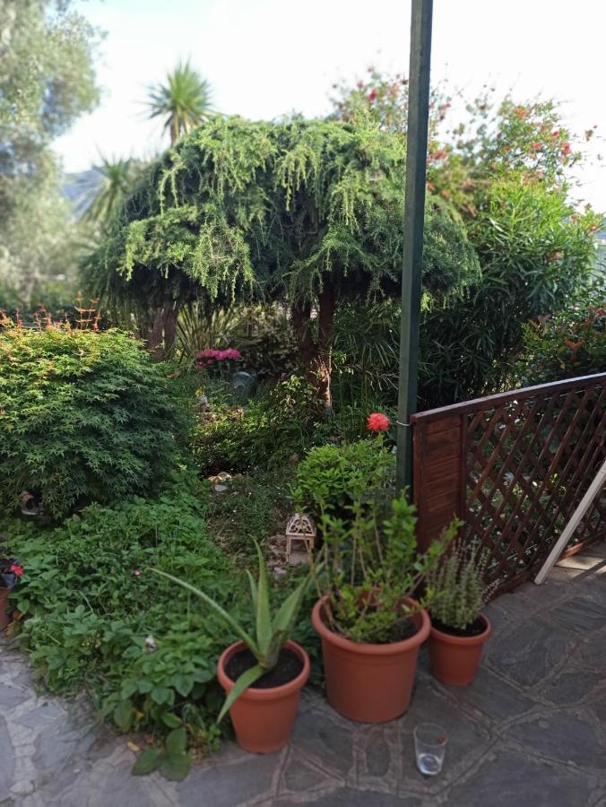 Il Glicine Cozy Appartamnent, Near Sestri Levante Between Cinque Terre E Portofino 카사르자리구레 외부 사진