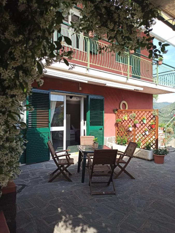 Il Glicine Cozy Appartamnent, Near Sestri Levante Between Cinque Terre E Portofino 카사르자리구레 외부 사진