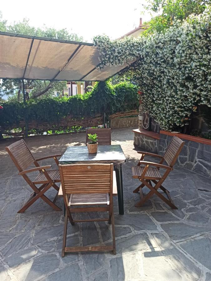 Il Glicine Cozy Appartamnent, Near Sestri Levante Between Cinque Terre E Portofino 카사르자리구레 외부 사진
