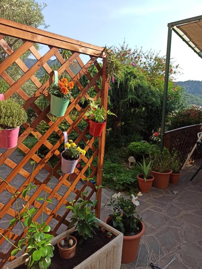 Il Glicine Cozy Appartamnent, Near Sestri Levante Between Cinque Terre E Portofino 카사르자리구레 외부 사진