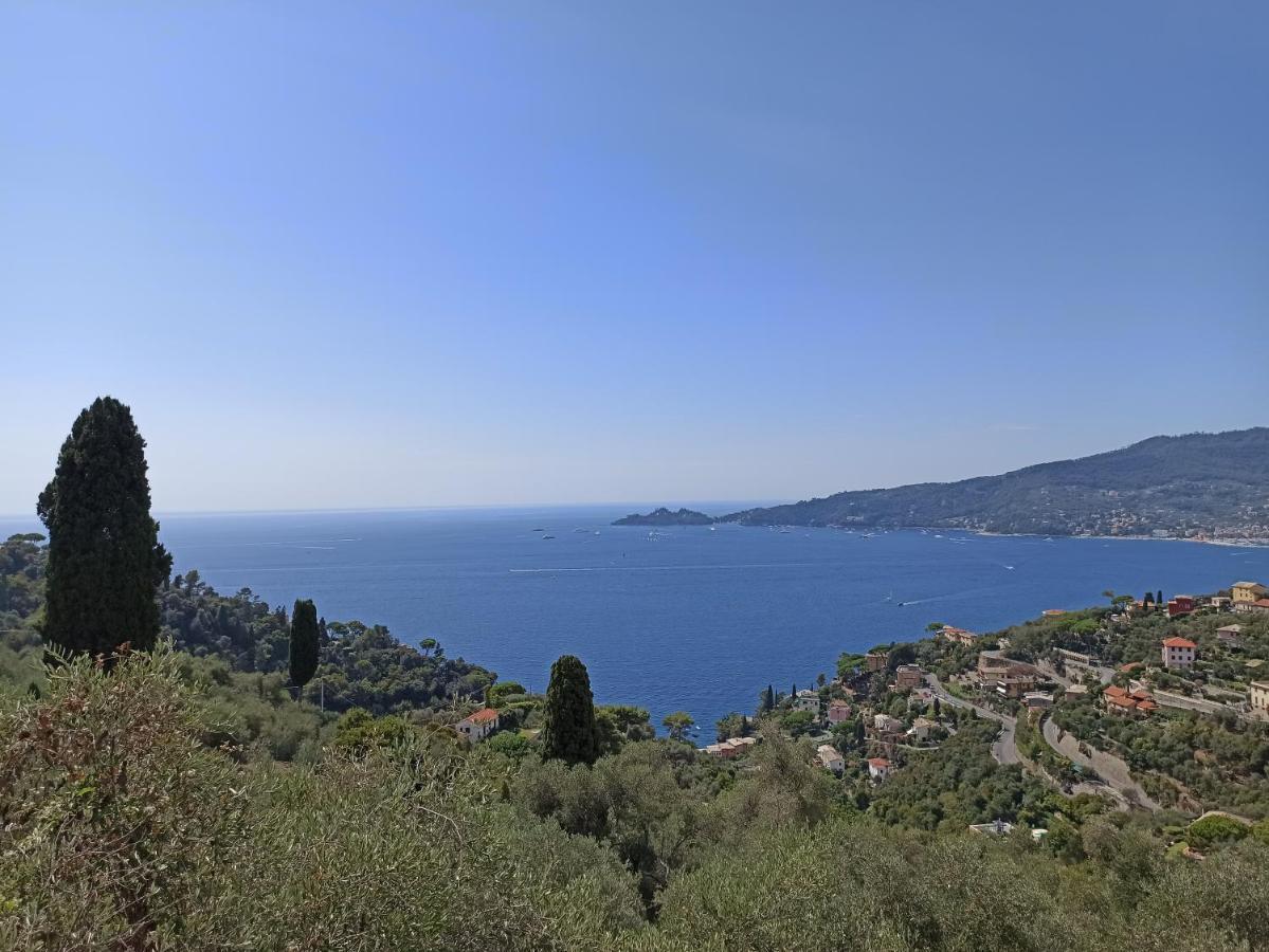 Il Glicine Cozy Appartamnent, Near Sestri Levante Between Cinque Terre E Portofino 카사르자리구레 외부 사진