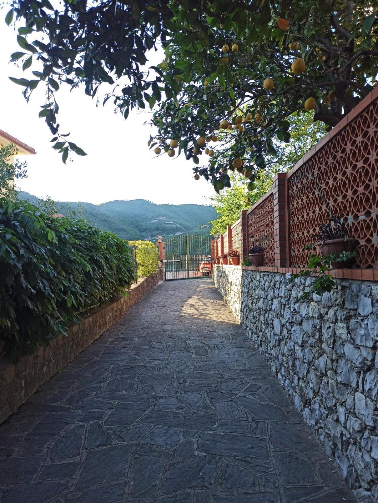 Il Glicine Cozy Appartamnent, Near Sestri Levante Between Cinque Terre E Portofino 카사르자리구레 외부 사진