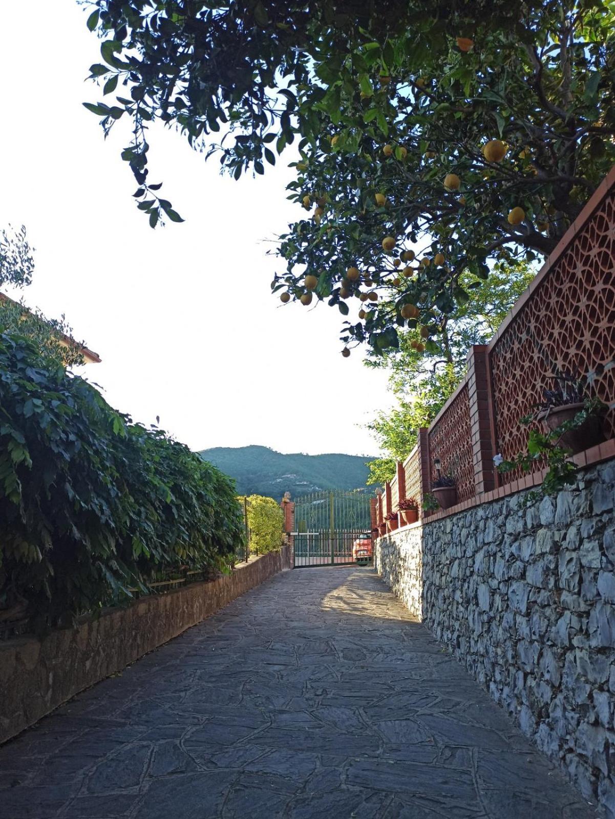 Il Glicine Cozy Appartamnent, Near Sestri Levante Between Cinque Terre E Portofino 카사르자리구레 외부 사진